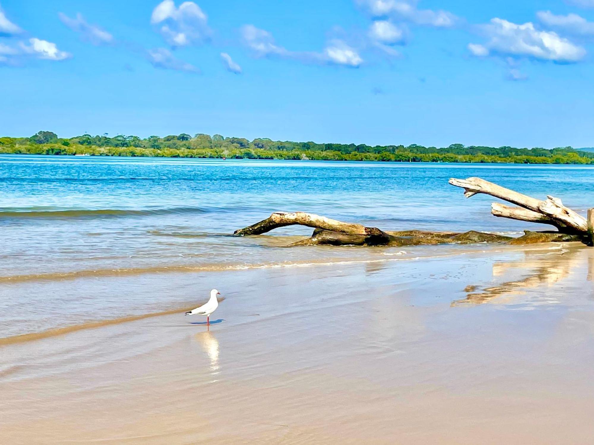 'seaview' - Prime Location By Shaws Bay With Stunning Views, Pet Friendly East Ballina